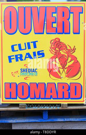 Canada, New Brunswick, Acadie, Westmorland County, Shediac (auto-proclamato Lobster Capitale del mondo), Shediac Lobster Shop, aragosta fresca fornitore Foto Stock