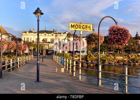 La Svizzera, nel Cantone di Vaud, Morges, l'Argine Fiorito di sunrise Foto Stock