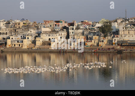 Skyline di Pushkar e paura di Lago - Sagar - Rajasthan in India Foto Stock