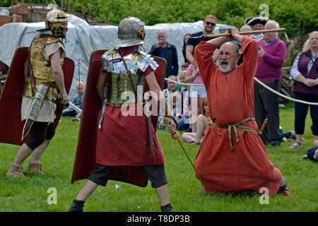 Romani combattimenti Celti a Milton Keynes Storia del museo Festival 2019. Wolverton, Buckinghamshire, Inghilterra, Regno Unito Foto Stock