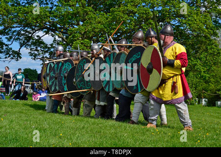 Viking Rievocazione storica battaglia a Milton Keynes Storia del museo Festival 2019. Wolverton, Buckinghamshire, Inghilterra, Regno Unito Foto Stock