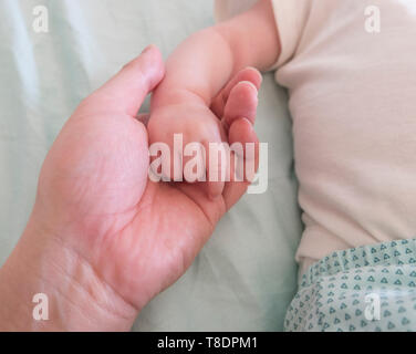 Adulto genitore in possesso e cullano Baby la mano Foto Stock