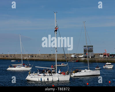 Dun Laoghaire, Dublino, Irlanda. Il 12 maggio 2019. Red Bull Cliff Diving World Series, finals giorno; uno spettatore sta tentando di ottenere il miglior punto panoramico Credito: Azione Sport Plus/Alamy Live News Foto Stock