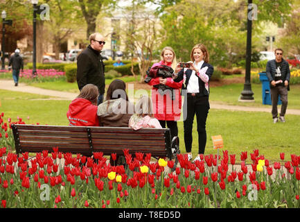 Olanda, Stati Uniti d'America. Il 12 maggio 2019. La gente visita annuale di Tulip Time Festival nella città di Olanda, Michigan, Stati Uniti, il 12 maggio 2019. Il festival si è svolto dal 4 Maggio al 12 maggio. Credito: Wang Ping/Xinhua/Alamy Live News Foto Stock