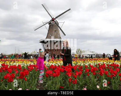 Olanda, Stati Uniti d'America. Il 12 maggio 2019. La gente visita annuale di Tulip Time Festival nella città di Olanda, Michigan, Stati Uniti, il 12 maggio 2019. Il festival si è svolto dal 4 Maggio al 12 maggio. Credito: Wang Ping/Xinhua/Alamy Live News Foto Stock