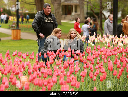 Olanda, Stati Uniti d'America. Il 12 maggio 2019. La gente visita annuale di Tulip Time Festival nella città di Olanda, Michigan, Stati Uniti, il 12 maggio 2019. Il festival si è svolto dal 4 Maggio al 12 maggio. Credito: Wang Ping/Xinhua/Alamy Live News Foto Stock