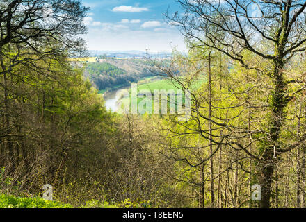 Fiume Wye serpeggianti attraverso l'Herefordshire campagna, Brockhampton UK. Aprile 2019 Foto Stock