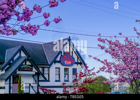 Old Courthouse Inn, Cafe,  Powell River, Sunshine Coast, British Columbia, Canada Foto Stock