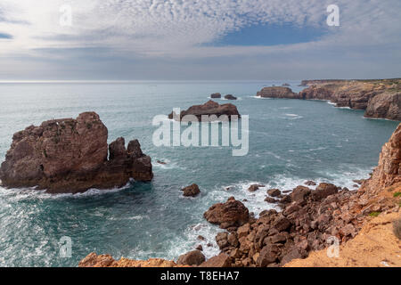 Due Cicogna bianca (Ciconia ciconia) seduto su una roccia nel mare della Costa Vicentina parco naturale all'Oceano Atlantico in Algarve, Portogallo. Foto Stock