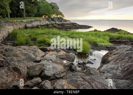 Sunrise in Larchmont Manor Park Foto Stock