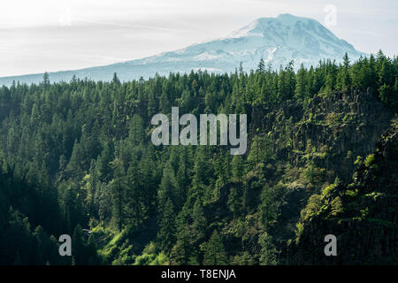 Snowy Mt Adams vista lato est, su una soleggiata giornata di primavera; albero coperto cliff in primo piano Foto Stock