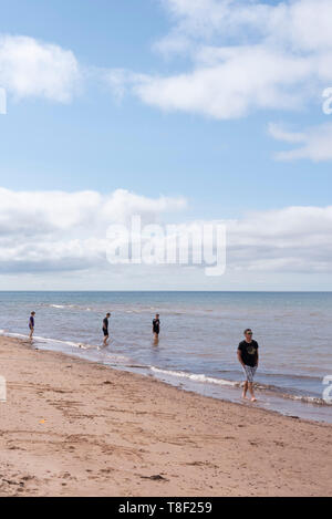 Miglia di dune di sabbia, isole di barriera, scogliere di arenaria, paludi e foreste. Le spiagge di Cavendish sono parte di Prince Edward Island National Park Foto Stock