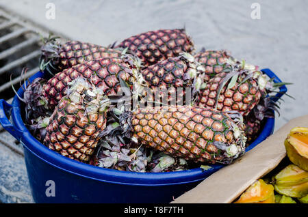 Gli ananas peruviani sono generalmente più grandi degli ananas hawaiani, con una forma più allungata e una corona più grande. Foto Stock