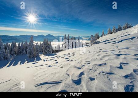 Francia, Haute Savoie, massive Bauges, al di sopra di Annecy a confine con la Savoia, l'altopiano di Semnoz eccezionale belvedere sulle Alpi del Nord, snow landscape scolpite dal vento Foto Stock