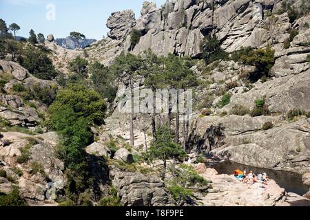 Francia, Corse du Sud, Ospedale massiccio, l'Ospedale, verso la cascata di Piscia di Gallo Foto Stock