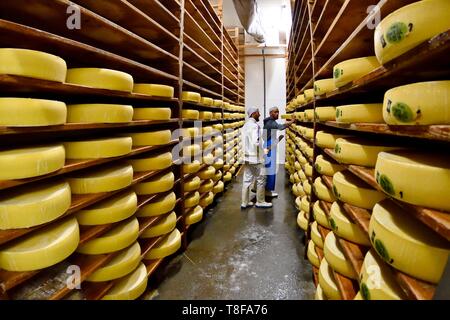 Francia, Doubs, Damprichard, fabbrica di formaggio, formaggio magazzini di stagionatura, Comte Foto Stock