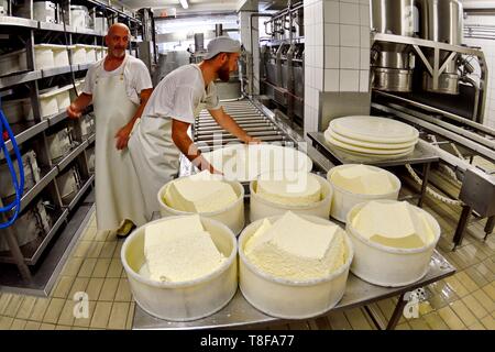 Francia, Doubs, Damprichard, fabbrica di formaggio, di formaggio serbatoio, Morbier Foto Stock