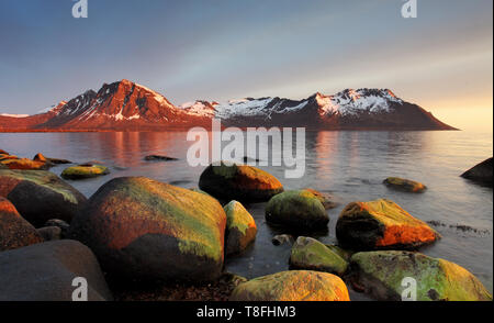 Tramonto in costa norvegese,Senja Foto Stock