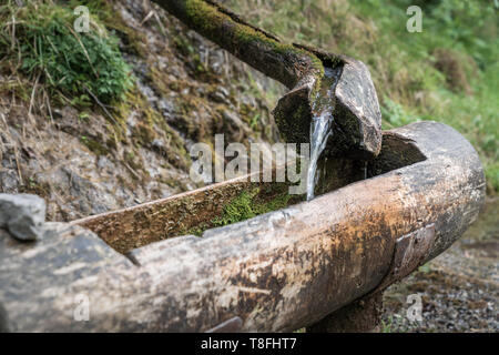 Montagna acqua naturale molla di gronda in legno da rocky creek presso il Torrente Vertova vicino a Bergamo. Foto Stock