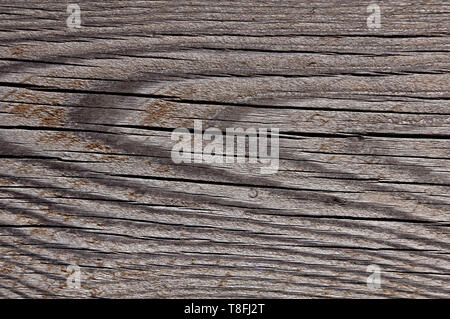 Foto di texture di grigio, usurato shabby, vecchio e rotto il legno che è stato esposto alle intemperie e al sole per anni e che mostra gli anelli di crescita. Foto Stock