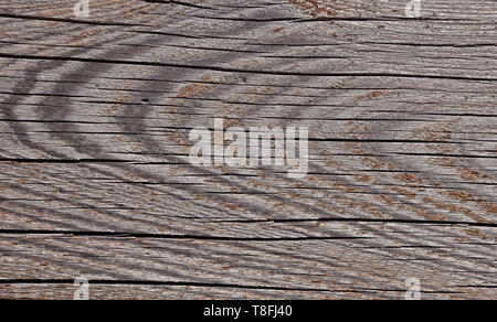 Foto di texture di grigio, usurato shabby, vecchio e rotto il legno che è stato esposto alle intemperie e al sole per anni e che mostra gli anelli di crescita. Foto Stock