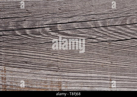 Foto di texture di grigio, usurato shabby, vecchio e rotto il legno che è stato esposto alle intemperie e al sole per anni e che mostra gli anelli di crescita. Foto Stock