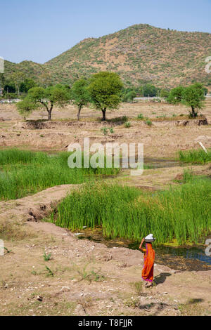 Una donna indiana in un saree che trasportano il lavaggio sulla riva di Fateh Sagar Lake, Udaipur, Rajasthan, India Foto Stock