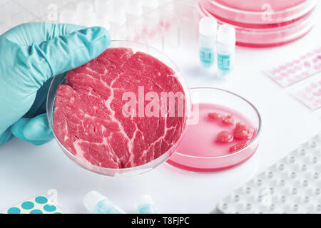 Campione di carne in aperto in plastica usa e getta la coltura cellulare piatto nel moderno laboratorio o stabilimento di produzione. Concetto di pulire la carne coltivate in vitro da un Foto Stock