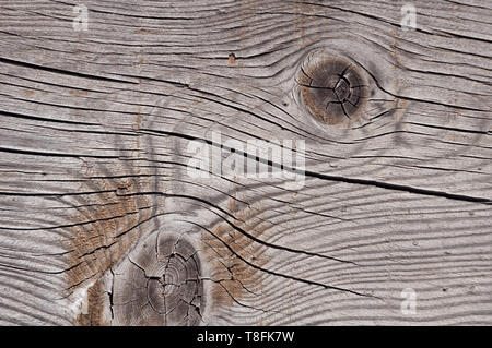 Foto di texture di grigio, usurato shabby, vecchio e rotto il legno che è stato esposto alle intemperie e al sole per anni e che mostra i nodi e gli anelli di crescita. Foto Stock