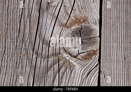 Foto di texture di grigio, usurato shabby, vecchio e rotto il legno che è stato esposto alle intemperie e al sole per anni e che mostra i nodi e gli anelli di crescita. Foto Stock