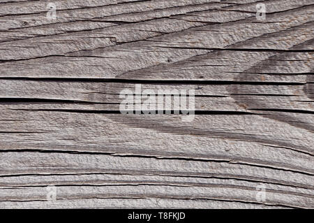 Foto di texture di grigio, usurato shabby, vecchio e rotto il legno che è stato esposto alle intemperie e al sole per anni e che mostra gli anelli di crescita. Foto Stock