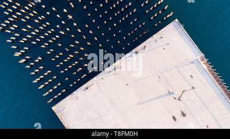 Guardando verso il basso al smantellata supporti di legno per che cosa ha usato per essere un prolungamento di Princes Pier a Port Melbourne, Victoria, Australia. Foto Stock