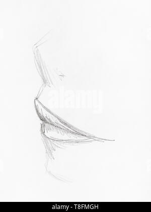 Schizzo di naso umano e le labbra close up disegnati a mano dalla matita nera su carta bianca Foto Stock