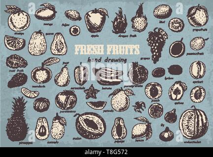 Grande raccolta di frutti su sfondo blu. Illustrazione di vettore per il tuo design Illustrazione Vettoriale