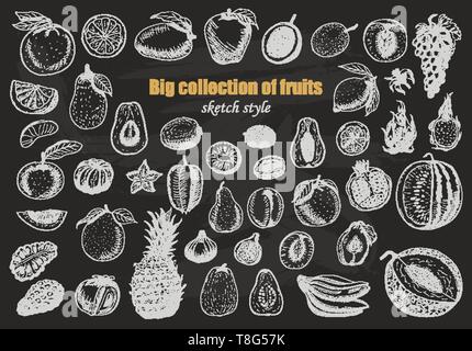 Grande raccolta di frutti su sfondo scuro. Illustrazione di vettore per il tuo design Illustrazione Vettoriale