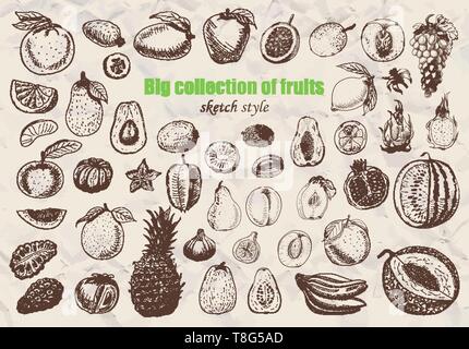 Grande raccolta di frutti nel disegno stile. Illustrazione di vettore per il tuo design Illustrazione Vettoriale