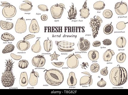 Set di grandi dimensioni con frutti isolati. Illustrazione di vettore per il tuo design Illustrazione Vettoriale