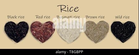 Set di riso, nero, rosso, basmati, marrone, Wild. Illustrazione Vettoriale. Riso realistiche. Illustrazione Vettoriale