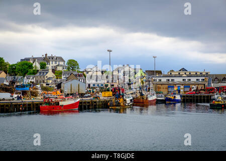 Barche da pesca nel porto di Mallaig sulla costa ovest della Scozia Foto Stock