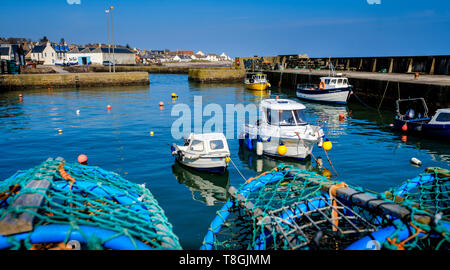 Il porto presso il villaggio costiero di Johnshaven in Aberdeenshire, Scozia Foto Stock