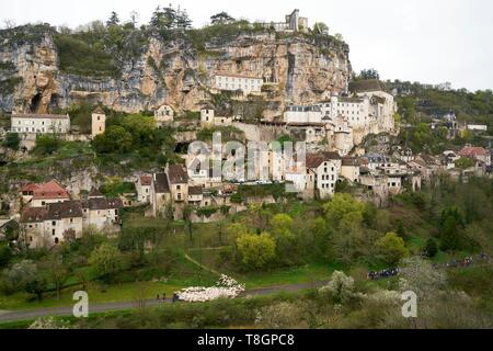 Francia, Lot, Rocamadour, la città di Rocamadour, le gole dell'Alzou, la transumanza di agnelli di Quercy, Rocamadour Luzech, sulla strada di Saint Jacques de Compostela, classificato come patrimonio mondiale dall' UNESCO Foto Stock