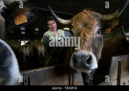 Francia, Aveyron, Laguiole, Patrick Mouliade, BFA Presidente e sua moglie Nadege Aubrac allevatori di vacche, stalla Foto Stock