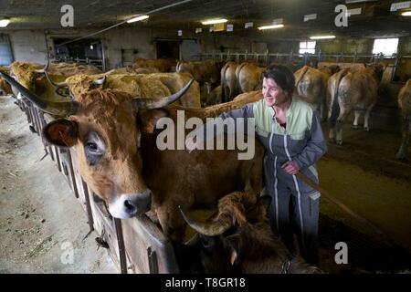 Francia, Aveyron, Laguiole, Patrick Mouliade, BFA Presidente e sua moglie Nadege Aubrac allevatori di vacche, stalla Foto Stock