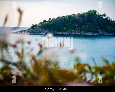 Isola di Santa Clara a San Sebastian con margherite in primo piano Foto Stock