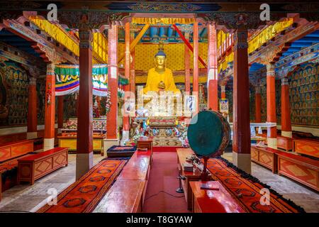 India, stato di Jammu e Kashmir, Himalaya, Ladakh, Indus Valle, golden statua in rame a foglia di Buddha Sakyamuni in Dukhang Papga (la sala di culto) del gompa (monastero di Hemis Foto Stock