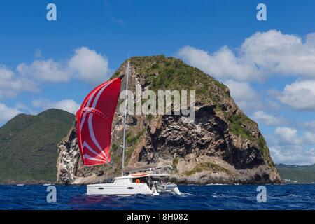 Martinica, Mar dei Caraibi punta di diamante, isola deserta, diamond rock, crociera in primo piano catamarano a vela sotto spinnaker rosso Foto Stock