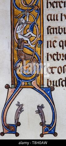 Miniatura de la "Biblia Sacra', tinta sobre pergamino, 1268. Museo Episcopale Archivo de Vic. Foto Stock