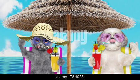 Cute cane e gatto riposo e relax sulla spiaggia sedia sotto ombrellone con succo al beach ocean shore, le vacanze estive Vacanze. 3D render Foto Stock