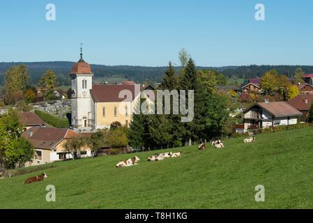 Francia, Doubs, mandria di mucche davanti alla sommità del Doubs il villaggio e la chiesa di Saint Theodule Labergement di Sainte Marie Foto Stock