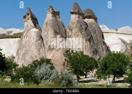 Turchia, Anatolia centrale, Cappadocia, classificato come patrimonio mondiale dall UNESCO, Pasabagi, i monaci, camini di fata Foto Stock
